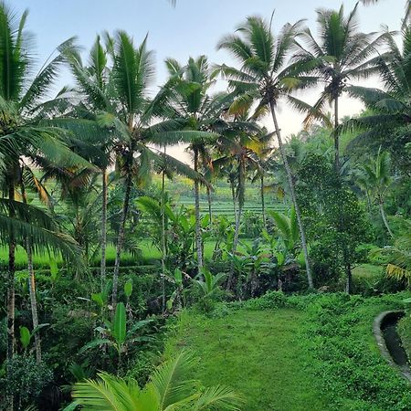 Puri Sebali Resort Ubud Exteriör bild