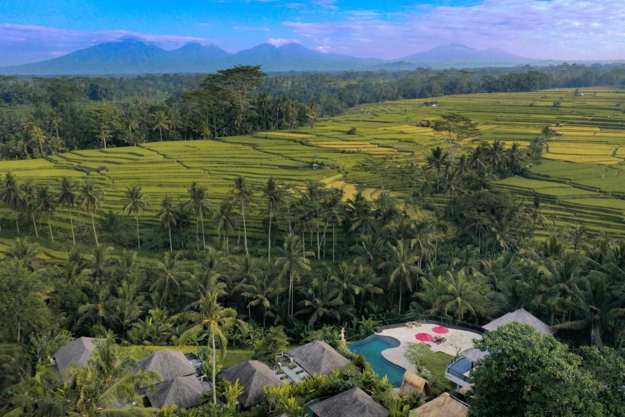 Puri Sebali Resort Ubud Exteriör bild