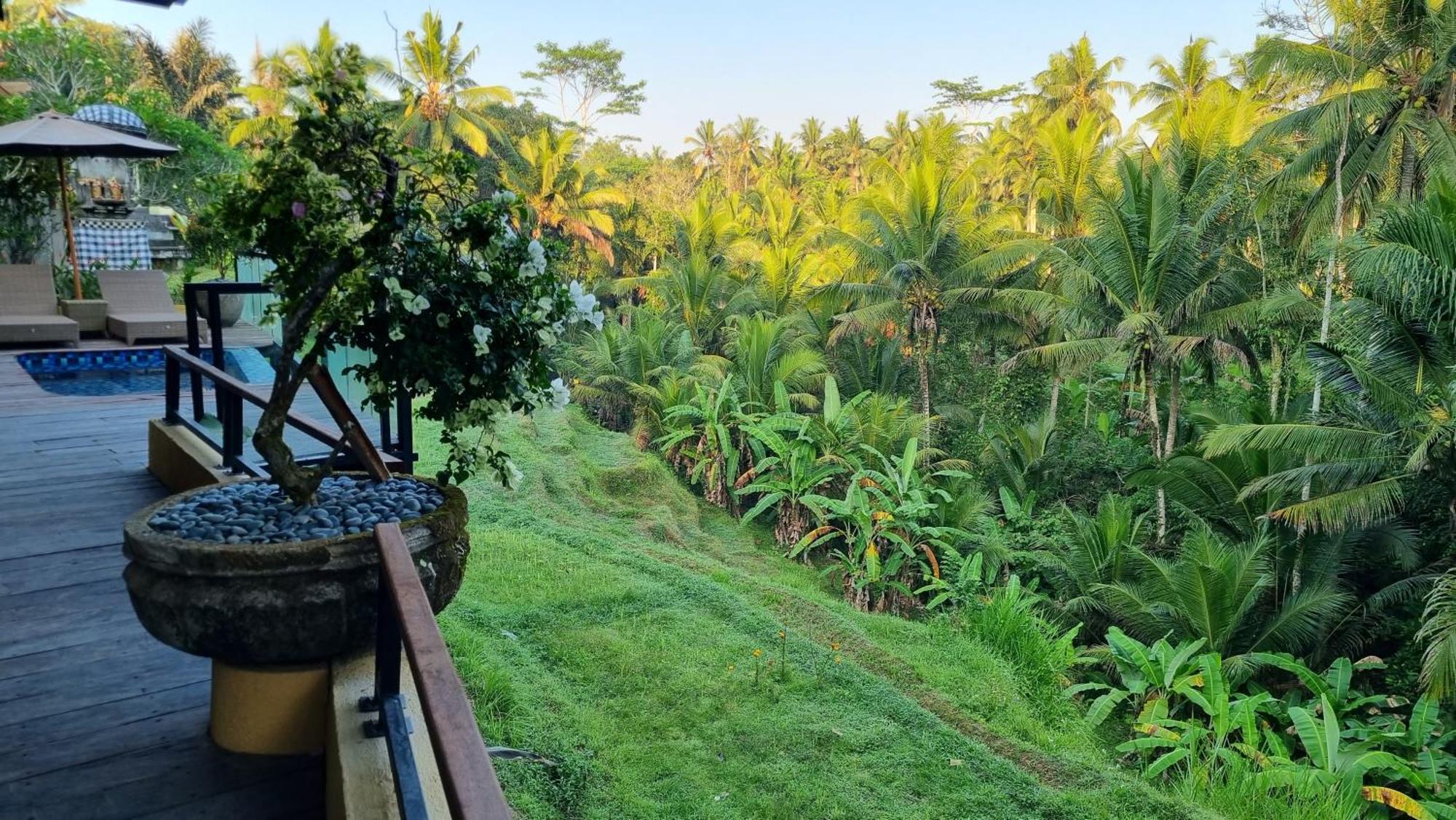 Puri Sebali Resort Ubud Exteriör bild