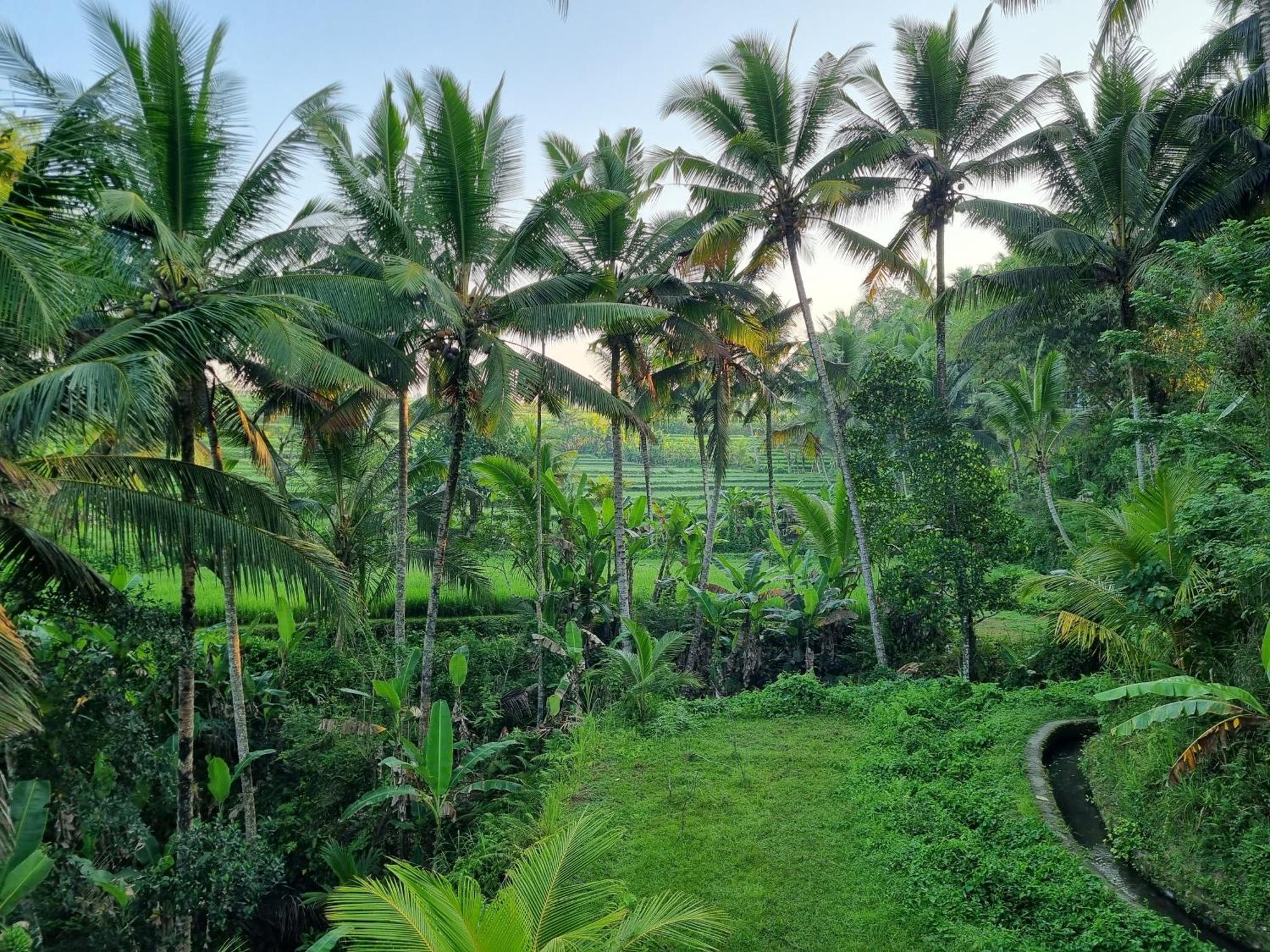 Puri Sebali Resort Ubud Exteriör bild