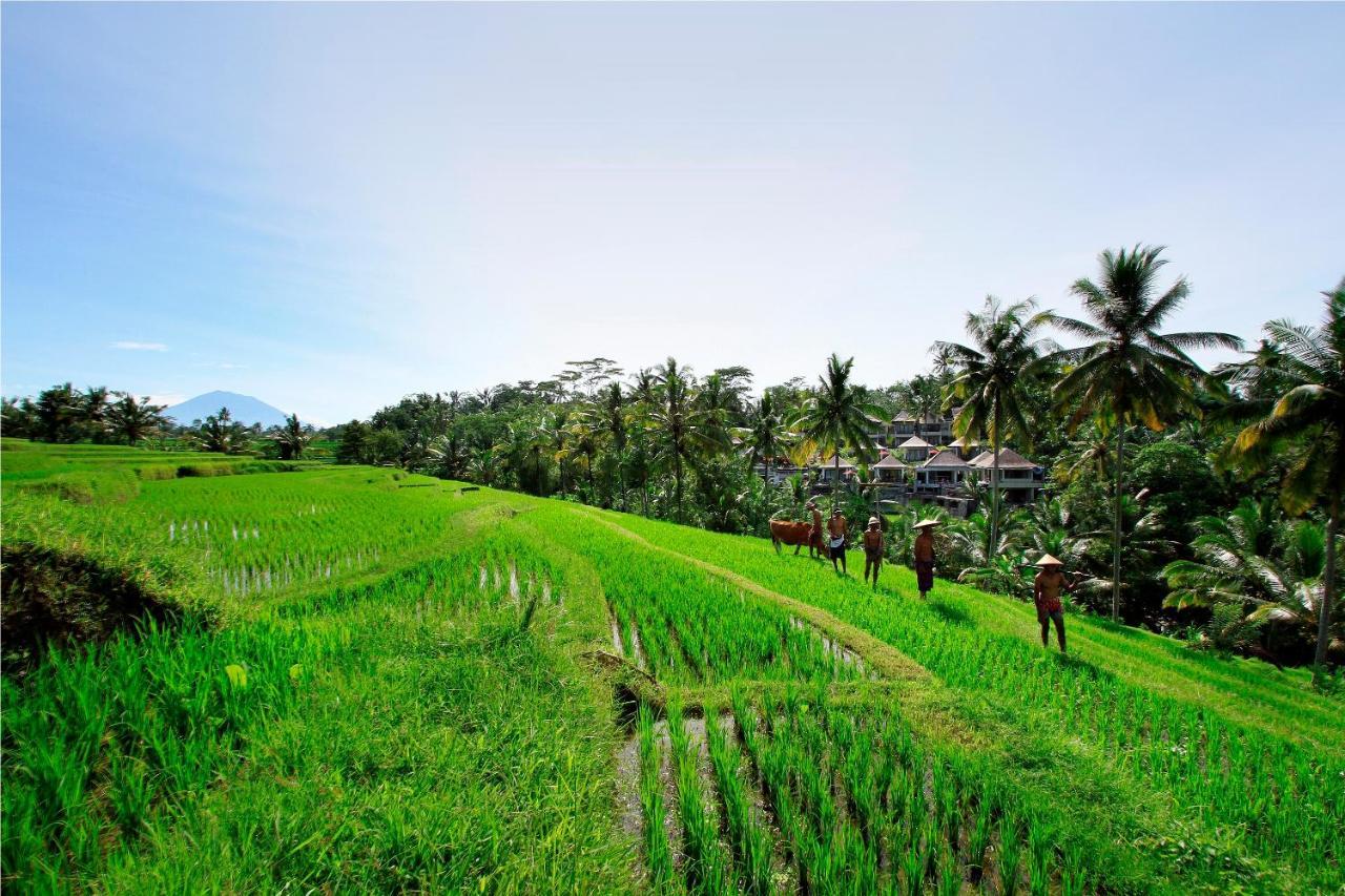 Puri Sebali Resort Ubud Exteriör bild